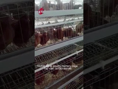 Sistema superior e de luxe do armazém de Nigéria das aves domésticas de bateria da gaiola para galinhas Sandy da camada