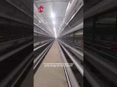 Tipo equipamento automático moderno Emily de H da gaiola da galinha de 25000 pássaros