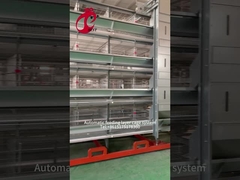 Gaiola 2.40m* 2.60m* 2.0m Rosa da galinha da série do equipamento de exploração avícola 4 da camada