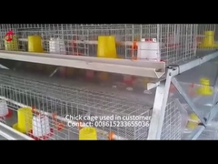 Comprimento automático galvanizado quente Mia dos pássaros 1.2m de Chick Brooder Cage 192 do bebê da franga