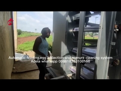 Um tipo gaiola de bateria da galinha da camada completamente automática para a grande exploração agrícola Adela