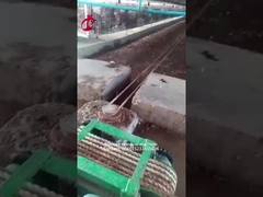 Máquina Mia da remoção do estrume do uso da exploração agrícola de galinha de 5.000 pássaros