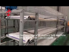 Controle Elétrico Político Cage Layer Sistema de Cage Layer Pollo Steel Cage Emily