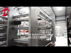 Sistema automático de gaiolas de criação de aves de capoeira de colocação de galinhas tipo H no mercado africano Iris