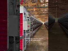 Projeto chave na mão Sistema automático de gaiolas de bateria de aves de capoeira 3 níveis 450cm2 Estrela