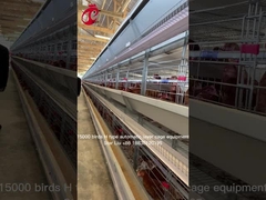 Estrela automática de levantamento controlada por computador do equipamento da gaiola da galinha