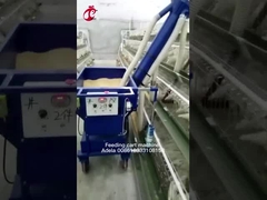 Um tipo e tipo carro de alimentação Adela de H da galinha automática do tamanho da personalização