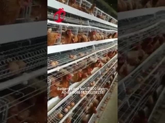 Desconto Tipo A Aves Bateria Cage para venda de camada 160 aves Na Zâmbia Adela