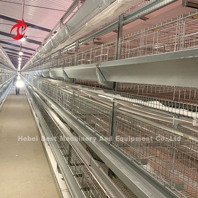 Sistema de gaiolas galvanizadas a quente Camada branca Habitação de aves Adela