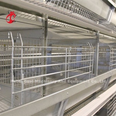 Pollo 12 células camada sistema de gaiola de bateria 4 nível para a fazenda Adela
