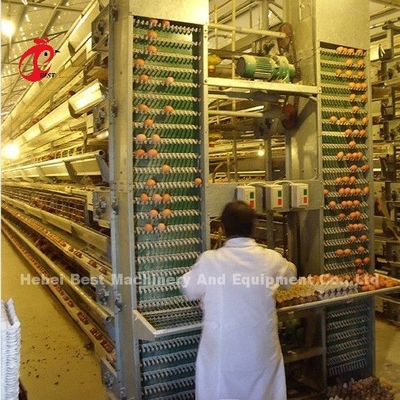 Um sistema de gaiola de bateria de frango automático do tipo H com 25 anos de vida