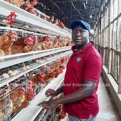 Resistência de oxidação galvanizada camada do sistema da gaiola de bateria das aves domésticas da galinha na exploração agrícola Mia