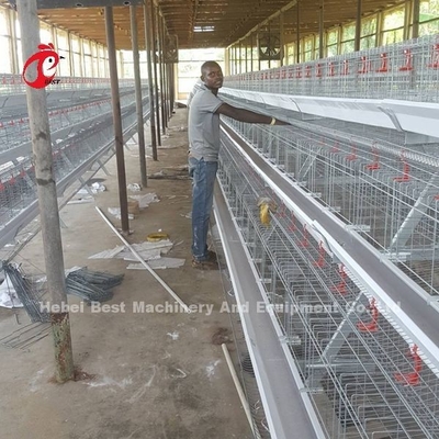 O cultivo da camada usa a casa que das aves domésticas da gaiola de bateria de 2 séries o mergulho quente galvanizou Sandy