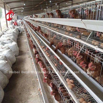 Galinha A e sistema automático da gaiola de bateria de H para a criação de animais Sandy do cultivo de aves domésticas