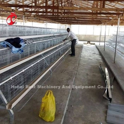 Galinha A e sistema automático da gaiola de bateria de H para a criação de animais Sandy do cultivo de aves domésticas
