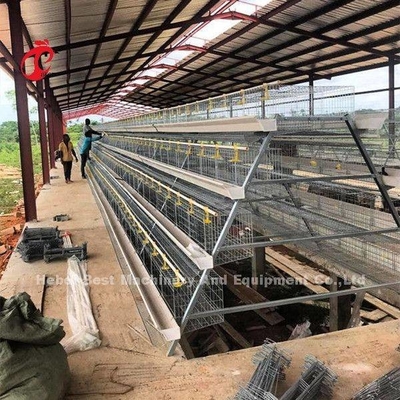 Cage Wire Diâmetro 2,8 mm-3,5 mm Sistema de Cage de Agricultura de Camada Com Sistema Automático de Bebida Adela