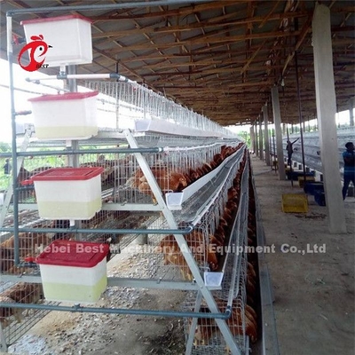 3.5mm sistema da gaiola de bateria das aves domésticas de 3 séries das séries 4 20 anos de tempo no Ada de Nigéria