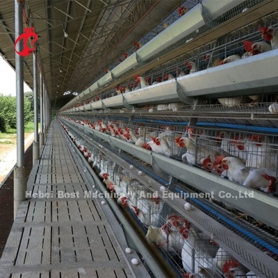 A ou tipo sistema de H da gaiola de bateria da camada para a íris da exploração avícola de 1000 a 20000 pássaros