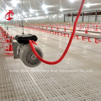 Tipo de piso de aço inoxidável Equipamento de exploração aviária Sistema automático de alimentação e bebida Adela
