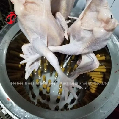 Pena da galinha do matadouro 1100w da exploração avícola que arranca a máquina em Nigéria Doris