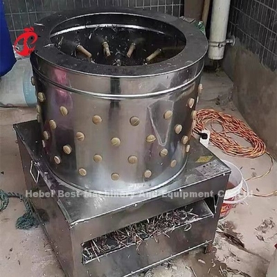 Pena da galinha do matadouro 1100w da exploração avícola que arranca a máquina em Nigéria Doris