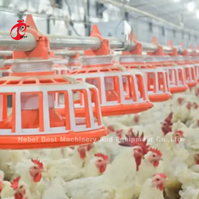 Cultivo de aves domésticas da grelha linha de alimentação linha bebendo de 45 galinhas equipamento automático Rosa