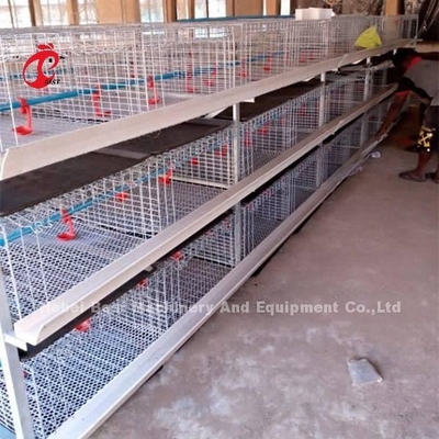 E gaiola da grelha das aves domésticas de H que aumenta o equipamento para pintainhos dias de idade Sandy