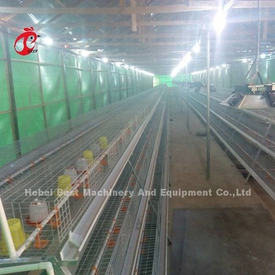 Gaiola para Criação de Aves Fazenda Chocadeira Equipamento de Criação Sandy