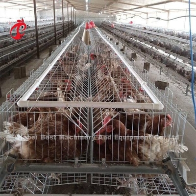 Gaiola para Criação de Aves Fazenda Chocadeira Equipamento de Criação Sandy