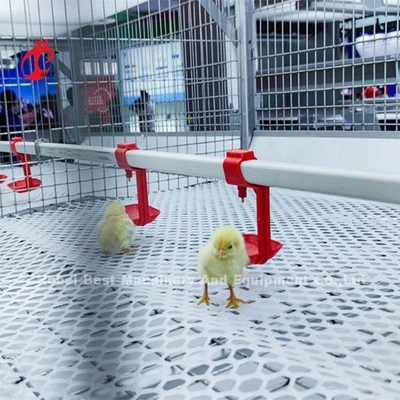 96 pássaros um tipo - exploração agrícola Doris de Chick Brooder Cage In Chicken de 1 - 12 semanas