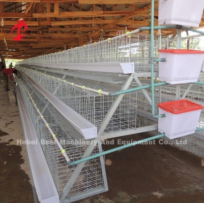 120 Aves 200 Aves Capacidade Aves Bateria Sistema de gaiolas de aves de capoeira Para camadas Broilers Galinhos Estrela