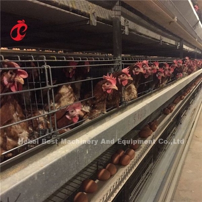 Sistema de gaiolas de bateria para frangos de corte, frango, aves e carne Ada