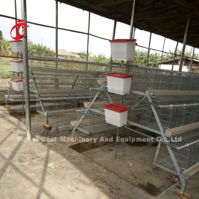 O tipo sistema de H da gaiola de bateria da camada com equipamento das aves domésticas para 5000-20000 pássaros cultiva a íris