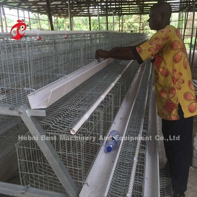 Sistema de luxe 5 Doris galvanizado pilhas da gaiola de bateria das aves domésticas de 120 pássaros