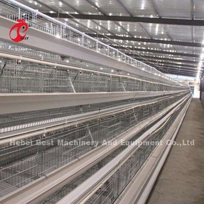 Caixa de bateria de aço inoxidável para frango 432cm2 Área pássaro Adela