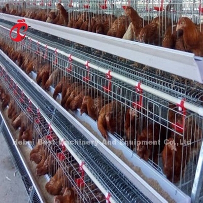 450cm2 Tipo H Sistema automático de gaiola de bateria de frango com alimentador Adela