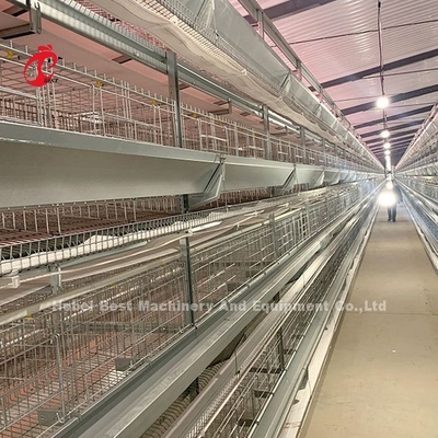 Caixa de bateria de aço inoxidável para frango 432cm2 Área pássaro Adela