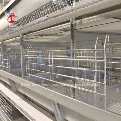 2Sistema de gaiolas de bateria de camada de.2m para 120-200 galinhas Adela