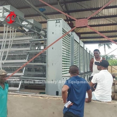 Tipo A Sistema de gaiola automática completa para camadas Adela galvanizado por imersão a quente