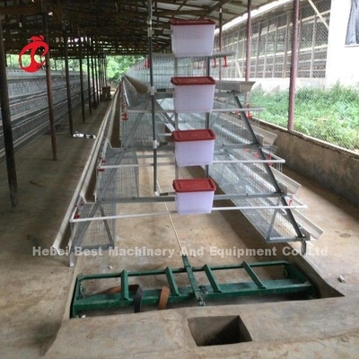2Sistema de gaiolas de bateria de camada de.2m para 120-200 galinhas Adela