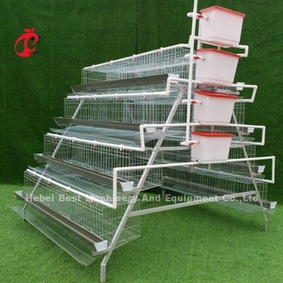 Melhor Vendedor Tipo A 4 Níveis Galvanizado Quente Automático Bateria de Frango Cages para Venda Adela