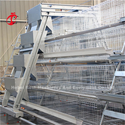Sistema de gaiolas de aço galvanizado amigável para pássaros para plantação de rosas em camadas
