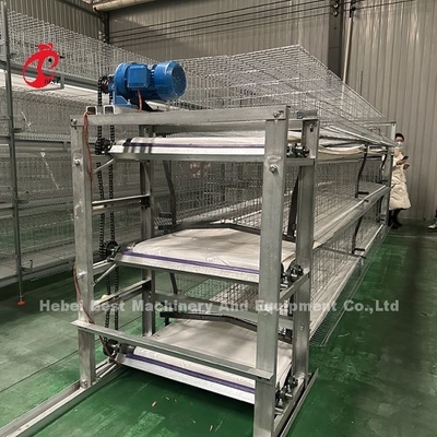 Sistema de gaiolas galvanizadas a quente Camada branca Habitação de aves Adela