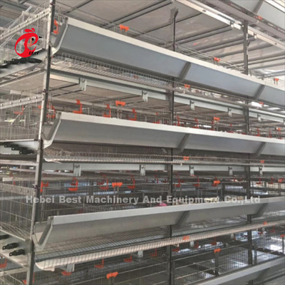 20 anos de equipamento automático da gaiola da galinha do cultivo de aves domésticas da camada do tempo para 20.000 camadas de Adela