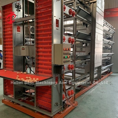 Equipamento automático de gaiolas de frango galvanizado a quente para fazendas de frango