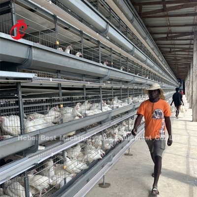 Equipamento automático de gaiolas de frango galvanizado a quente para fazendas de frango