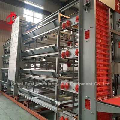 Preço da fábrica do equipamento totalmente automático profissional da gaiola da galinha para a íris da casa de galinha
