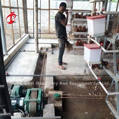 Tipo automático do raspador e da correia do estrume projetado para a exploração agrícola de galinha Sandy