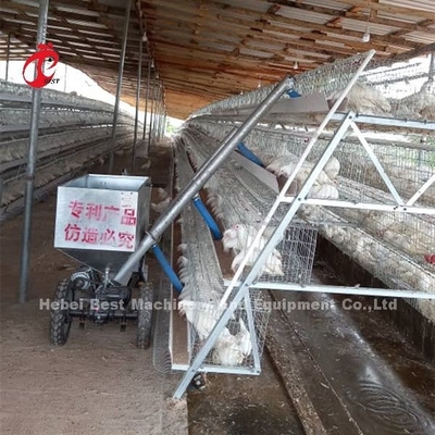 O carro de alimentação da galinha automática projetou para a exploração avícola Sandy da gaiola de bateria da galinha