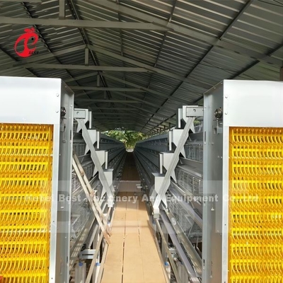 Sistema de alimentação automática de gaiolas automática utilizado em avicultura